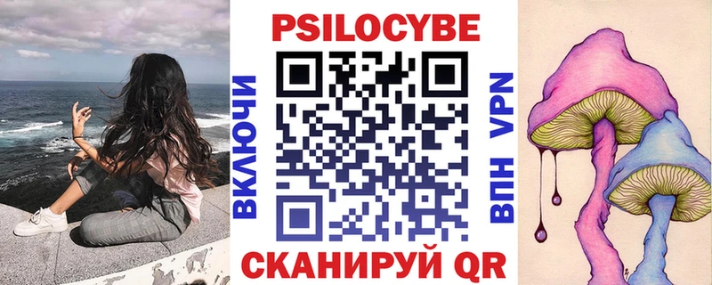 Галлюциногенные грибы мухоморы  где купить наркотик  Вытегра 